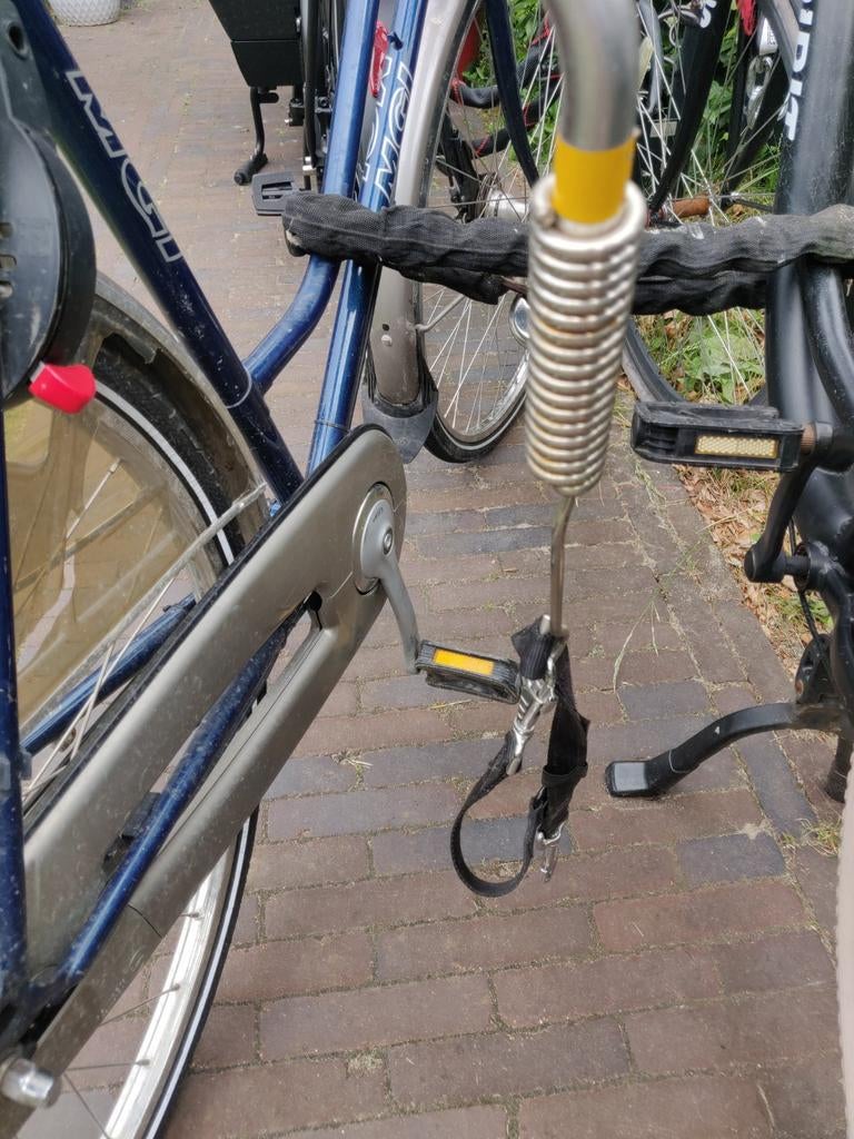 Fietsbeugel hond - afstandhouder en veer - met riem, Ophalen of Verzenden, Hondenkar