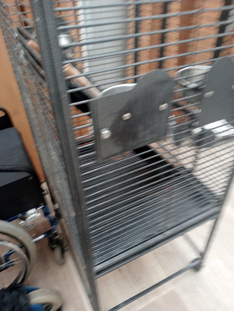 Papegaaien kooi, Ophalen, Gebruikt, Metaal, Vogelkooi