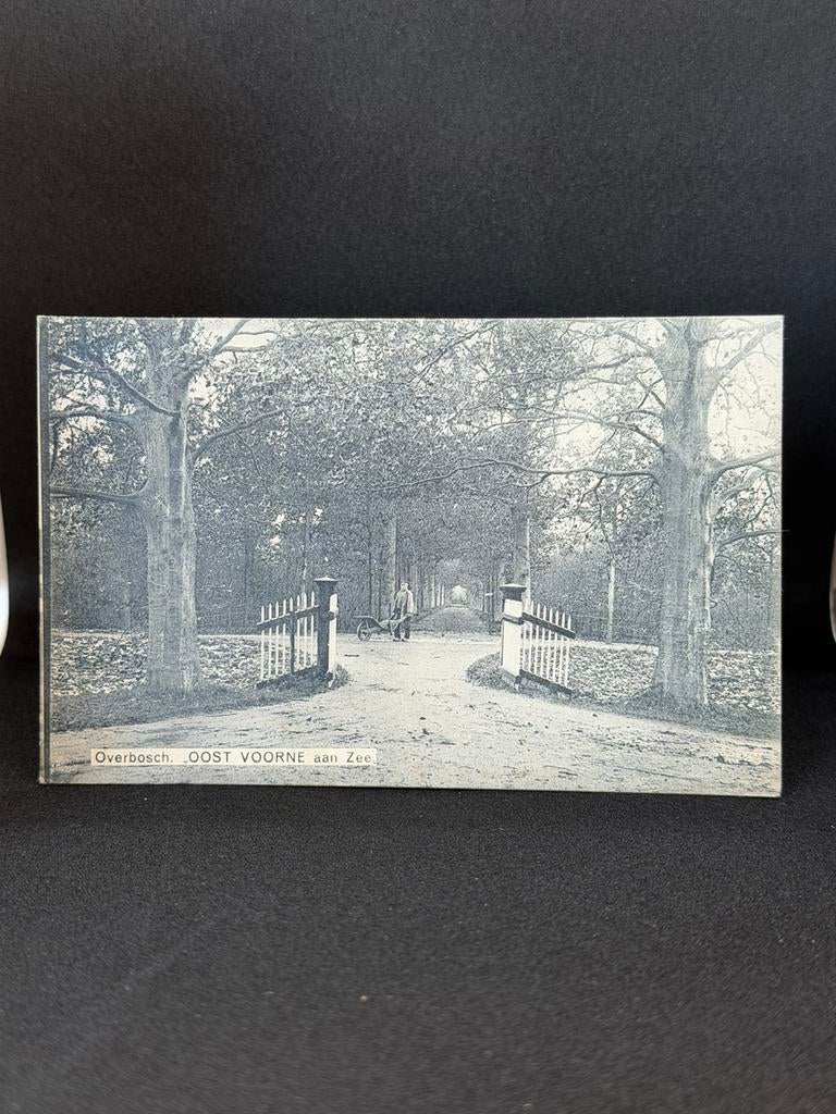 Ansichtkaart Oostvoorne Overbosch ca. 1925 gelopen, Ophalen of Verzenden, 1920 tot 1940, Noord-Holland