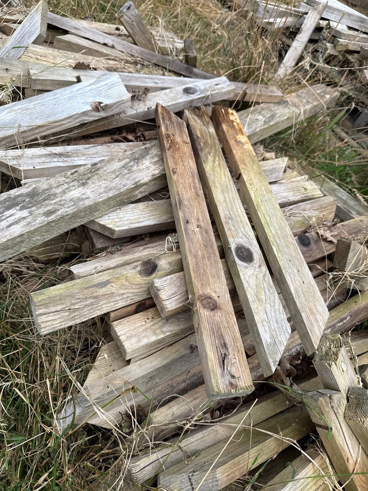 Piketpaaltjes voor funderingstroken (ca. 100-150 stuks), Ophalen, Gebruikt, Minder dan 25 mm, Overige typen