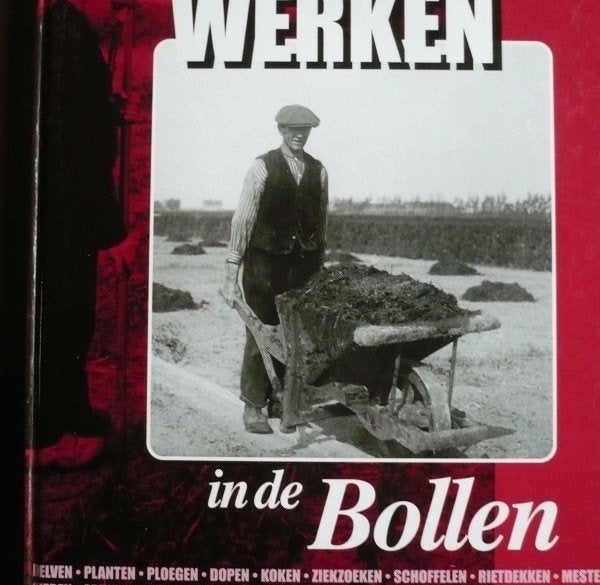 Werken in de BOLLEN, Boeken, Ophalen of Verzenden, 20e eeuw of later, Zo goed als nieuw