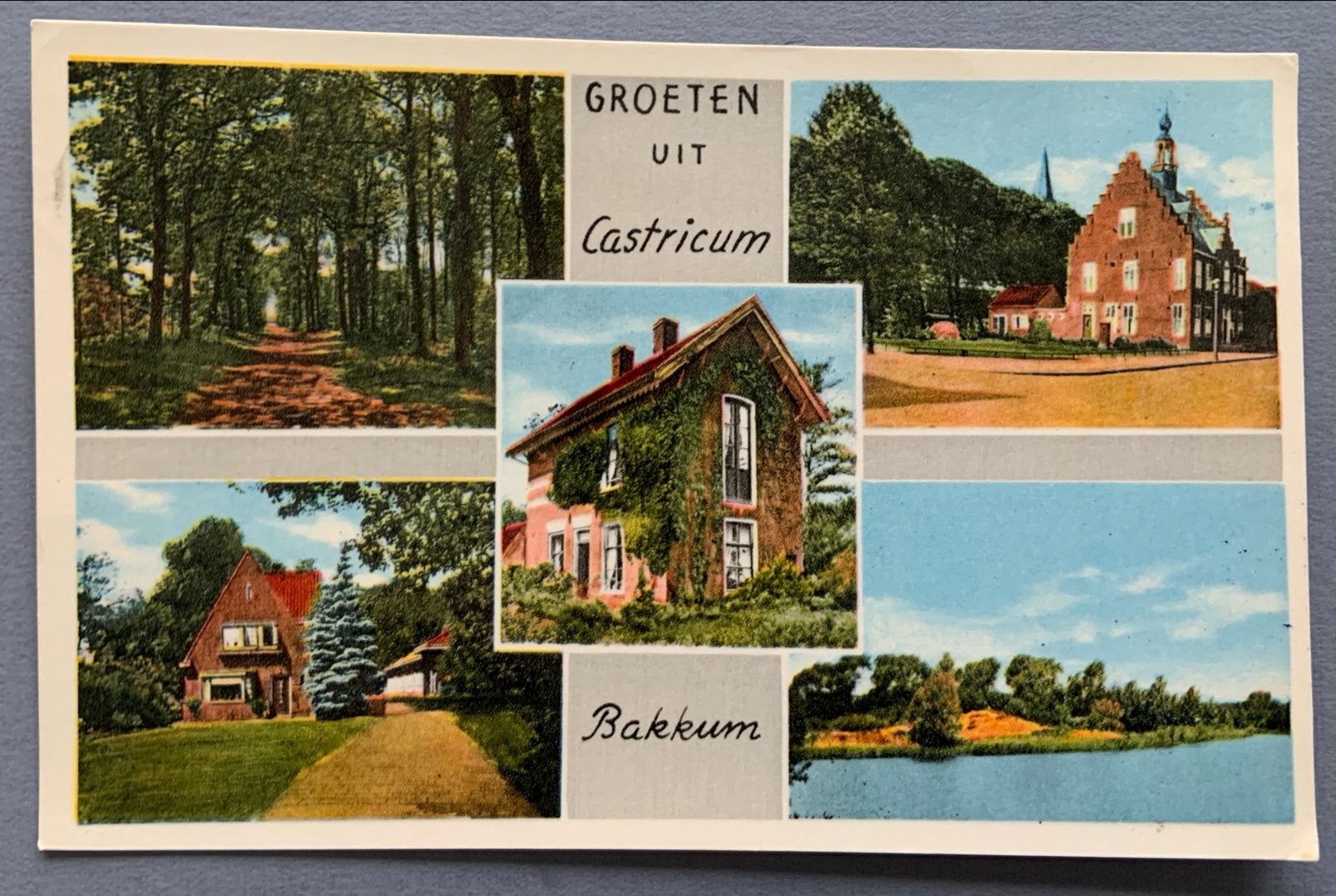 Groeten uit Castricum en Bakkum, Ophalen of Verzenden, 1920 tot 1940, Gelopen