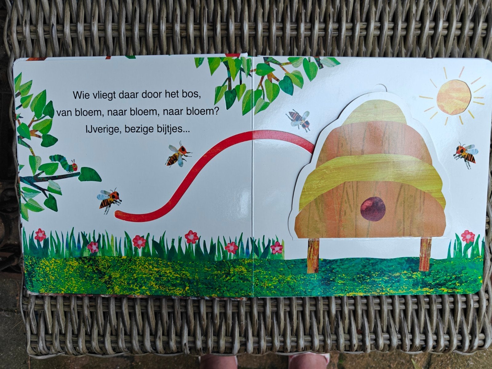 Rupsje Nooitgenoeg zoek & vind., Ophalen of Verzenden