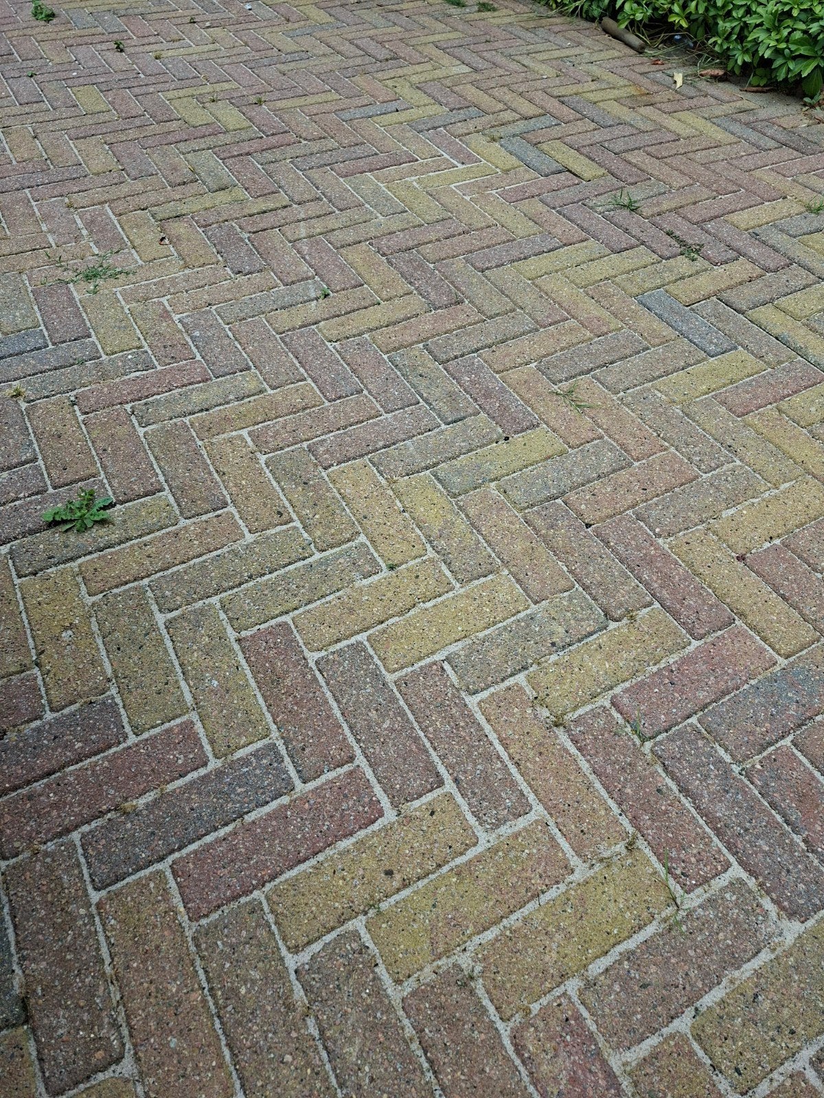 Circa 65m2 terras klinkers gratis, Ophalen, Klinkers, Zo goed als nieuw, 10 m² of meer