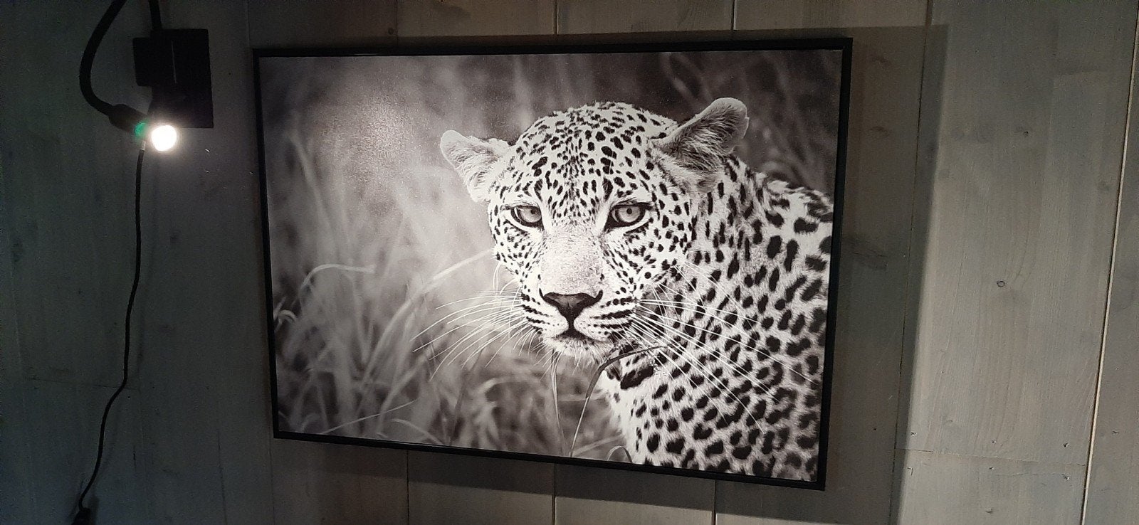 Schilderij panter 50x70 cm, Ophalen of Verzenden, Zo goed als nieuw