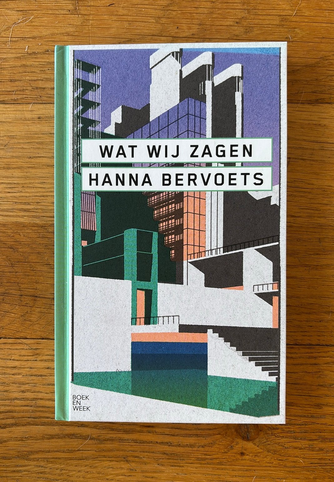 Hanna Bervoets - Wat wij zagen hardcover nieuw, Ophalen of Verzenden, Nieuw, Hanna Bervoets