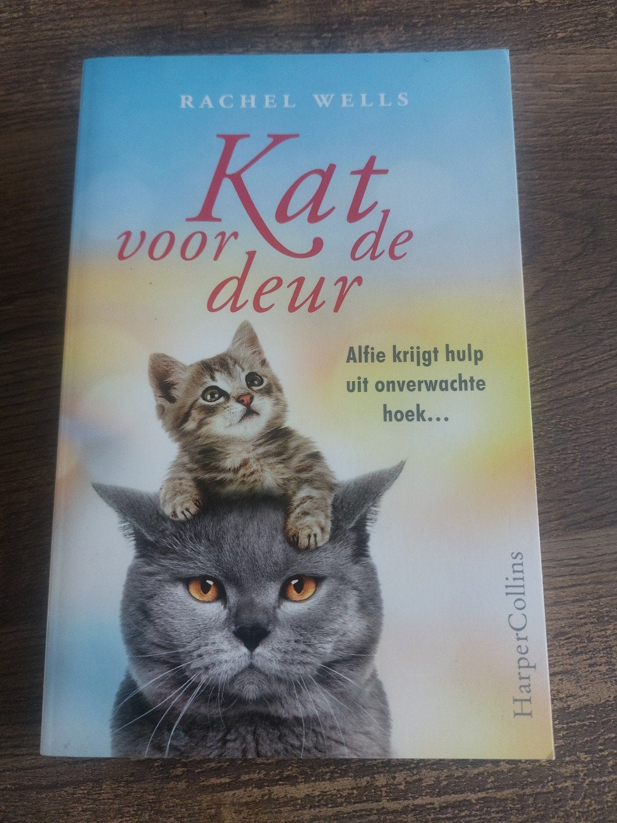 Kat voor de deur Rachel Wells, Boeken, Verzenden, Zo goed als nieuw