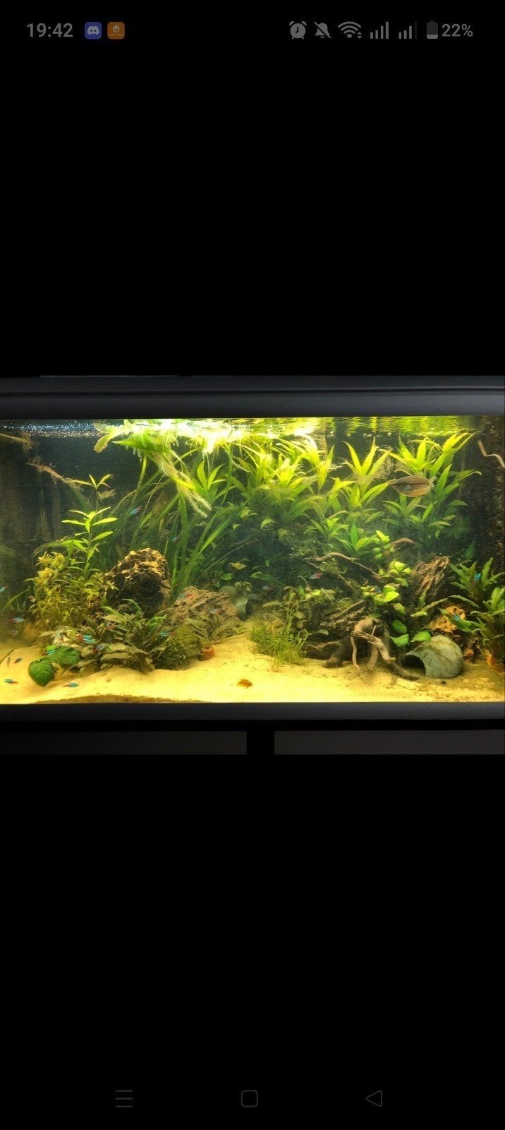 250L - Aluminium Aquarium met kast., Dieren en Toebehoren, Vissen | Aquaria en Toebehoren, Gebruikt, Leeg aquarium, Ophalen