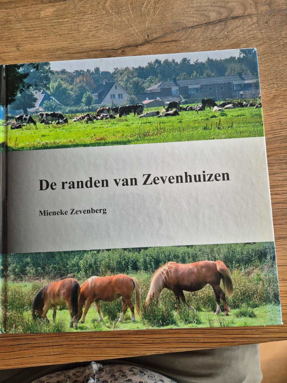 De randen van Zevenhuizen - Mieneke Zevenberg, Ophalen of Verzenden, 20e eeuw of later, Zo goed als nieuw, Mieneke Zevenberg