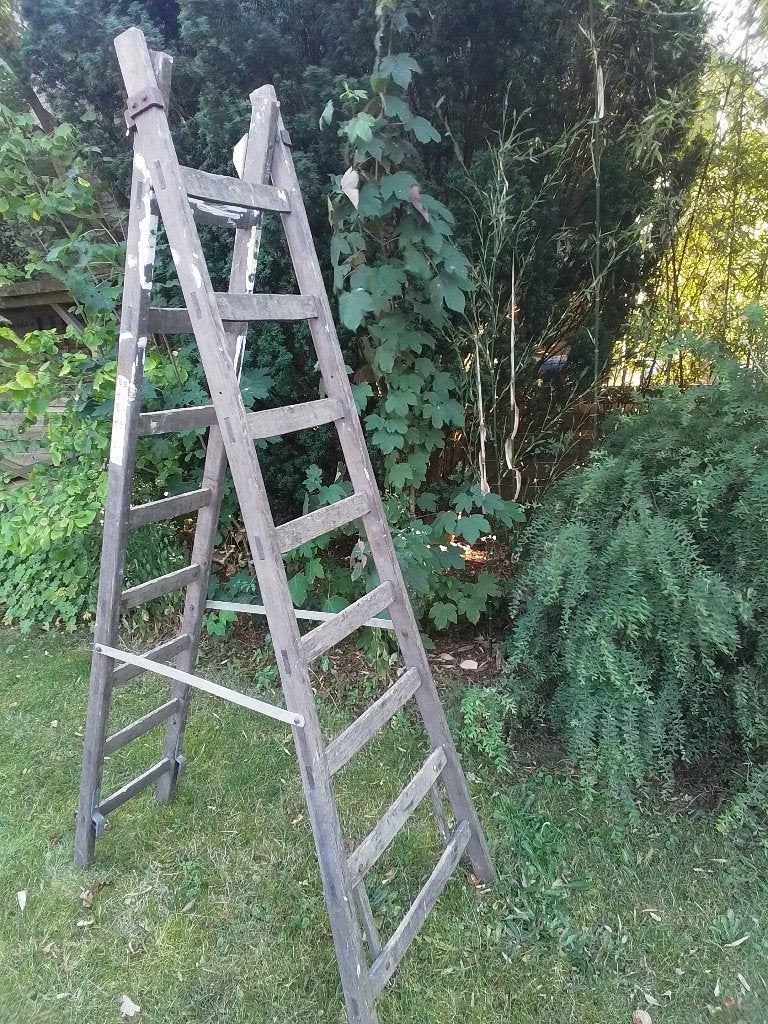 Trapladder - zowel trap als ladder - hout - 2 tot 3,5 m hoog, Doe-het-zelf en Verbouw, Ladders en Trappen, Ophalen, Gebruikt, Trap