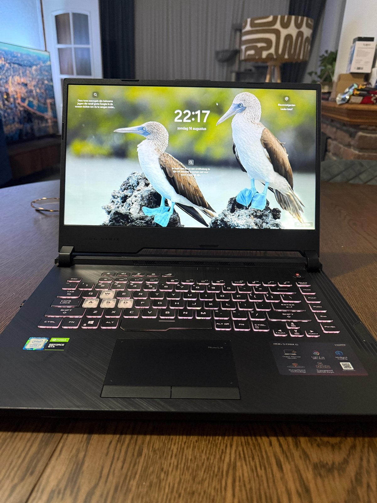 Asus ROG Strix GL531GU - i7-9750H / GTX1660TI / 512GB / 8GB, Gebruikt, Met videokaart, Asus, 8 GB