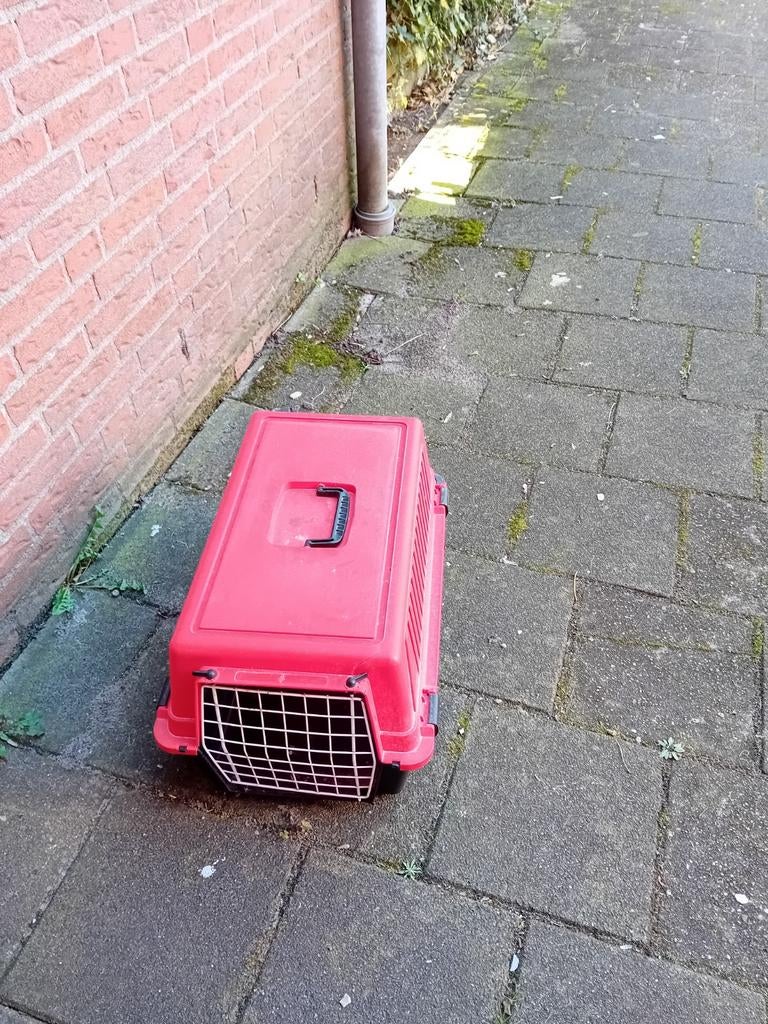 Kattenreismand, Ophalen of Verzenden, Gebruikt