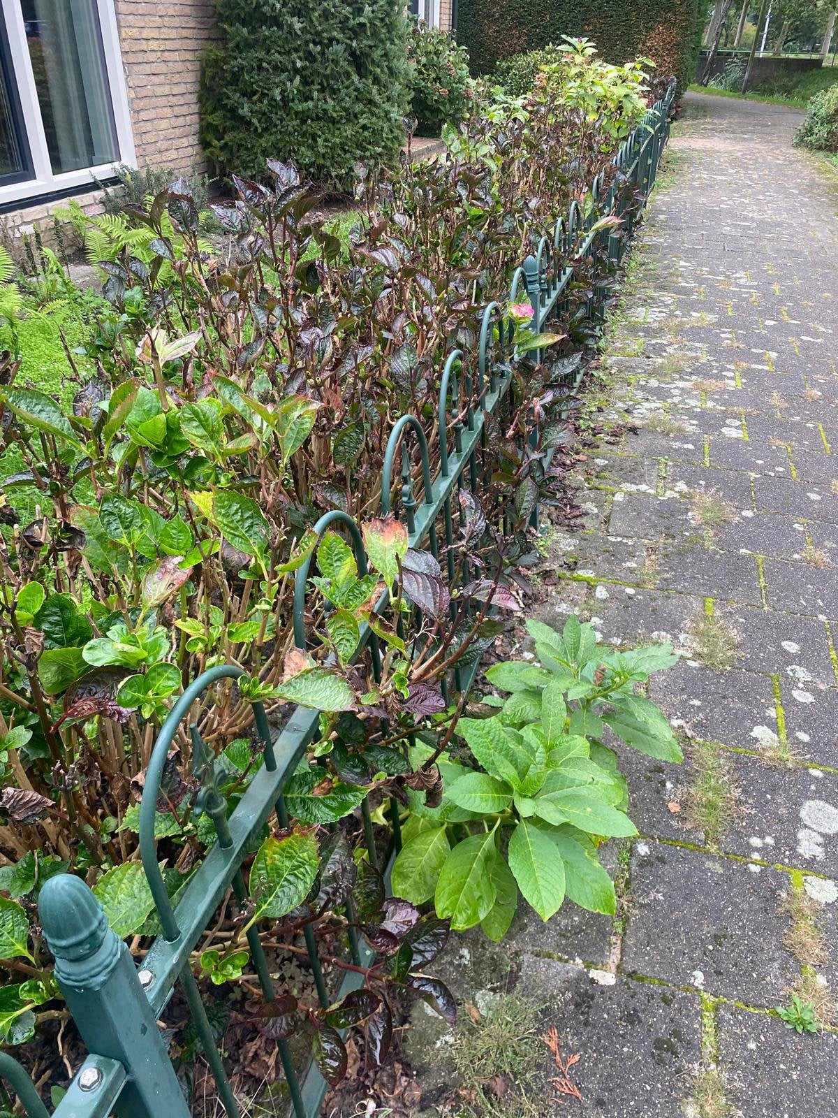 Tuinhekje, Tuin en Terras, Ophalen