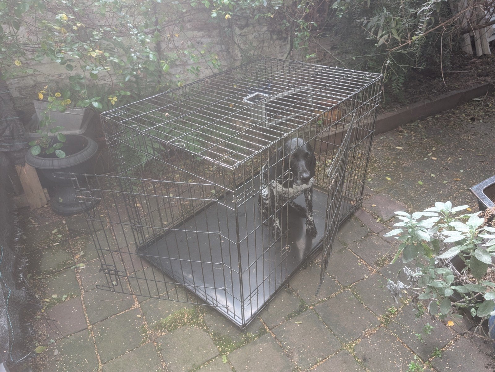 Hondenbench, Dieren en Toebehoren, Ophalen, Zo goed als nieuw