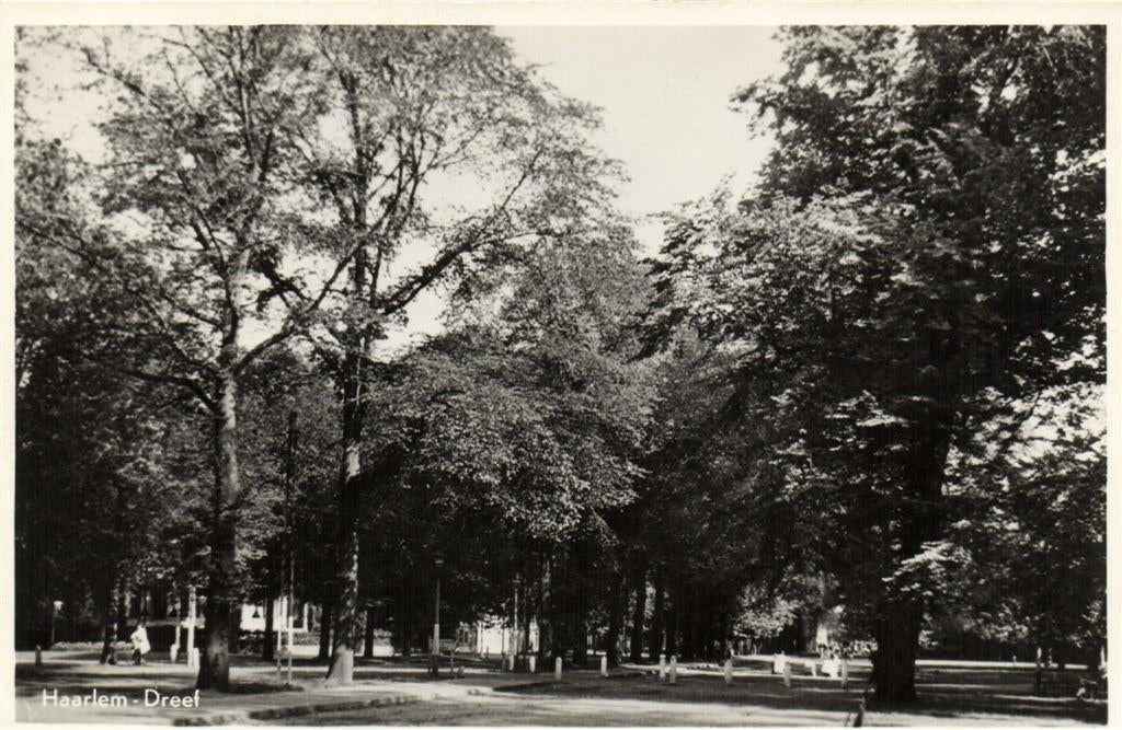 Haarlem - Dreef - ongelopen, Ophalen of Verzenden, Voor 1920, Ongelopen, Noord-Holland