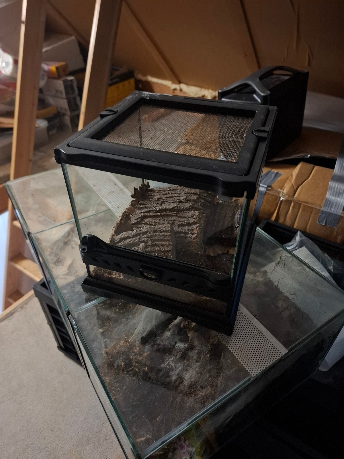terrarium exo terra nano wide BIEDEN, Dieren en Toebehoren, Ophalen