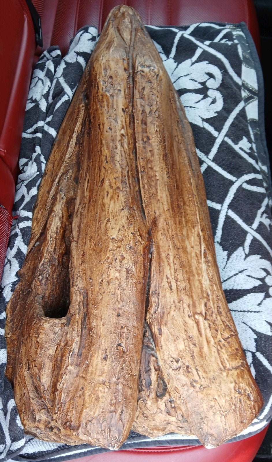 Jas met bevestiging, om op te hangen., Ophalen, Zo goed als nieuw, Fantasy