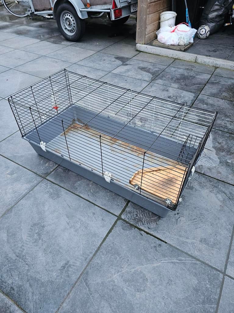 Grote kooi voor konijnen/ cavia's 120 bij 60 cm, Dieren en Toebehoren, Kooi, 110 cm of meer, Cavia, Ophalen