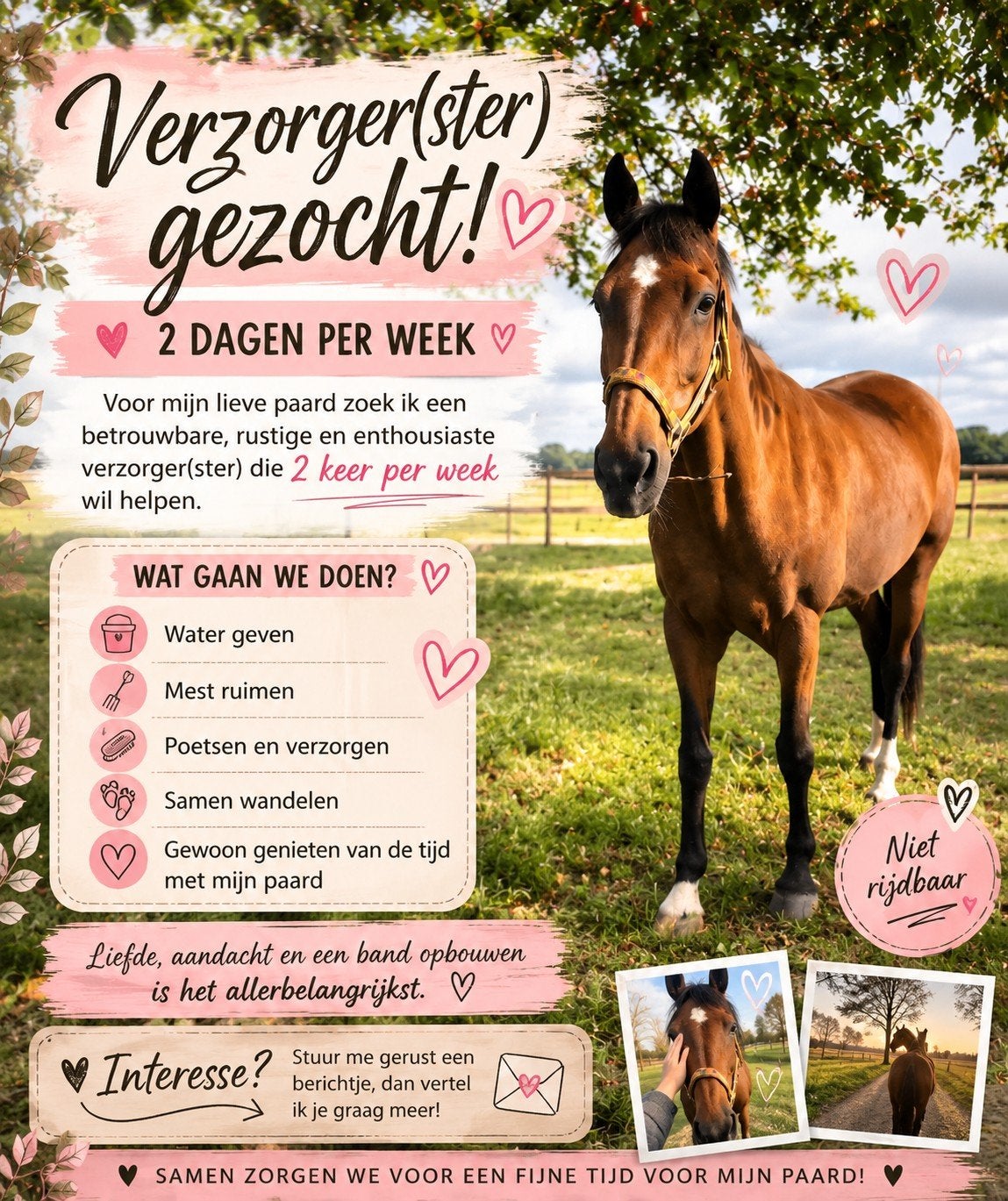 Verzorger gezocht, Ophalen