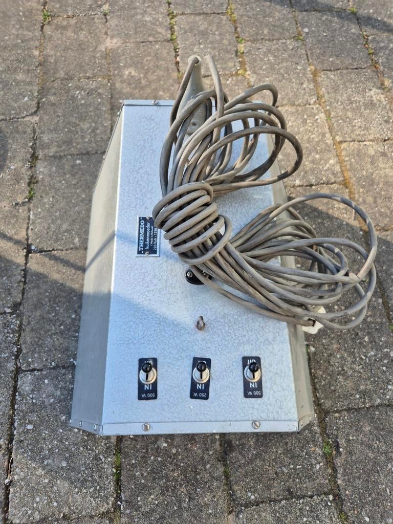 Kuikenmoeder, Dieren en Toebehoren, Ophalen of Verzenden