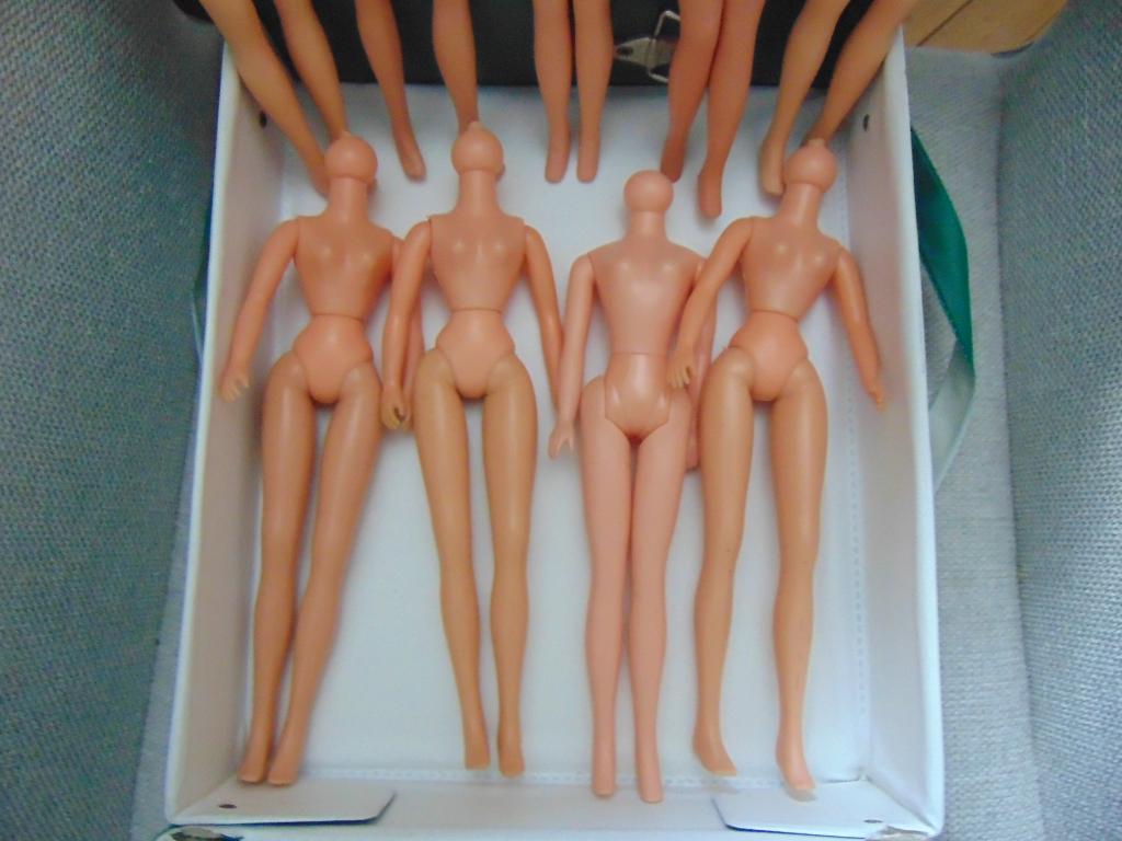Fleur draag koffer met 9 goede Fleur Lijfjes, Verzamelen, Poppen, Ophalen of Verzenden, Gebruikt, Pop