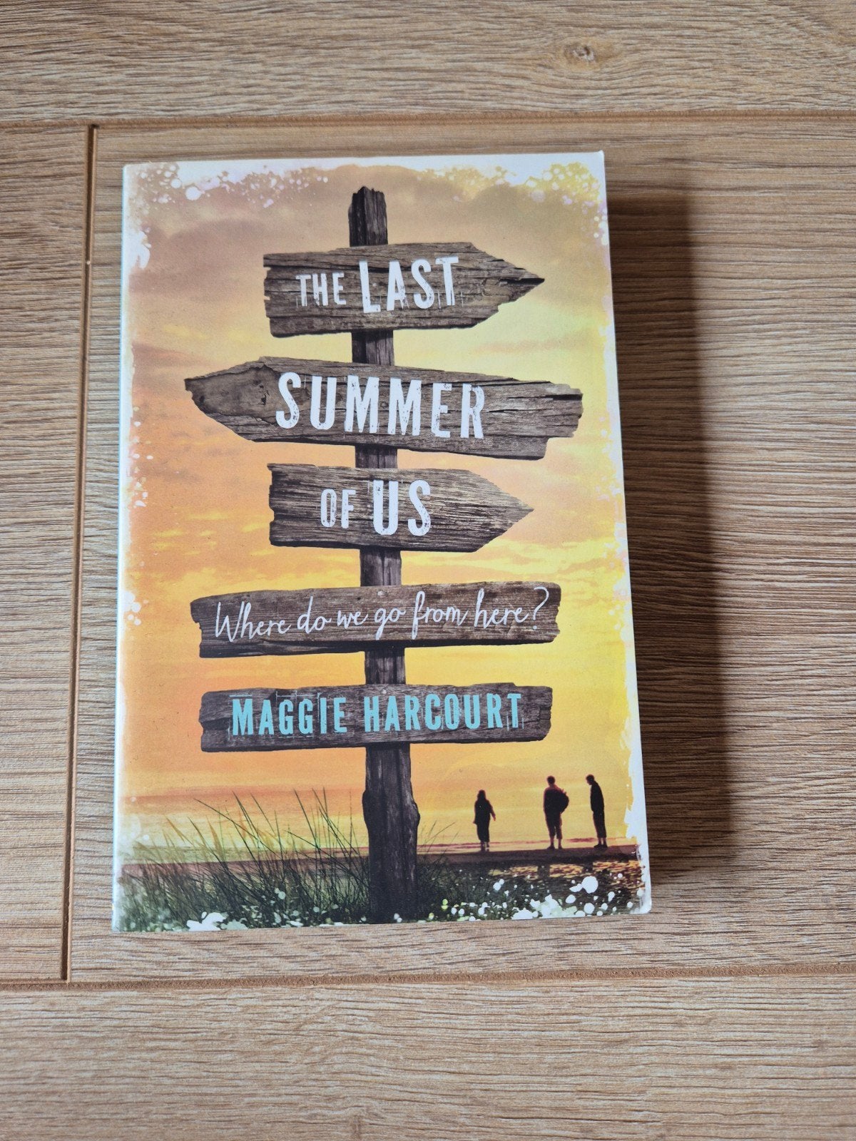 The Last Summer of Us - Maggie Harcourt (Perfecte staat), Ophalen of Verzenden, Zo goed als nieuw, Maggie Harcourt, Europa overig