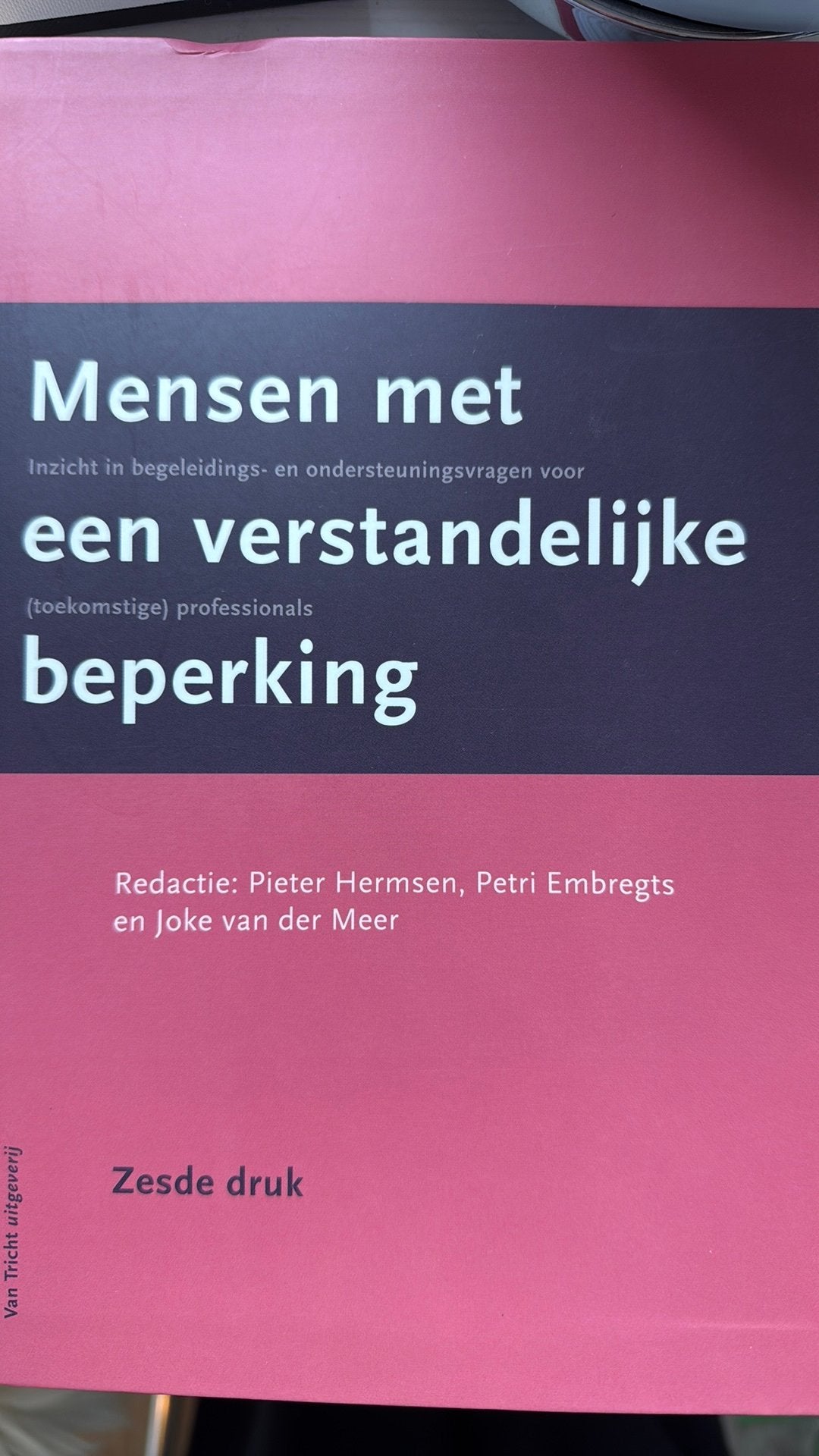 Pieter Hermsen - Mensen met een verstandelijke beperking, Sociale wetenschap, Nieuw, Ophalen of Verzenden, Pieter Hermsen; Noud Frielink; Annette van der Putten; Jac de...
