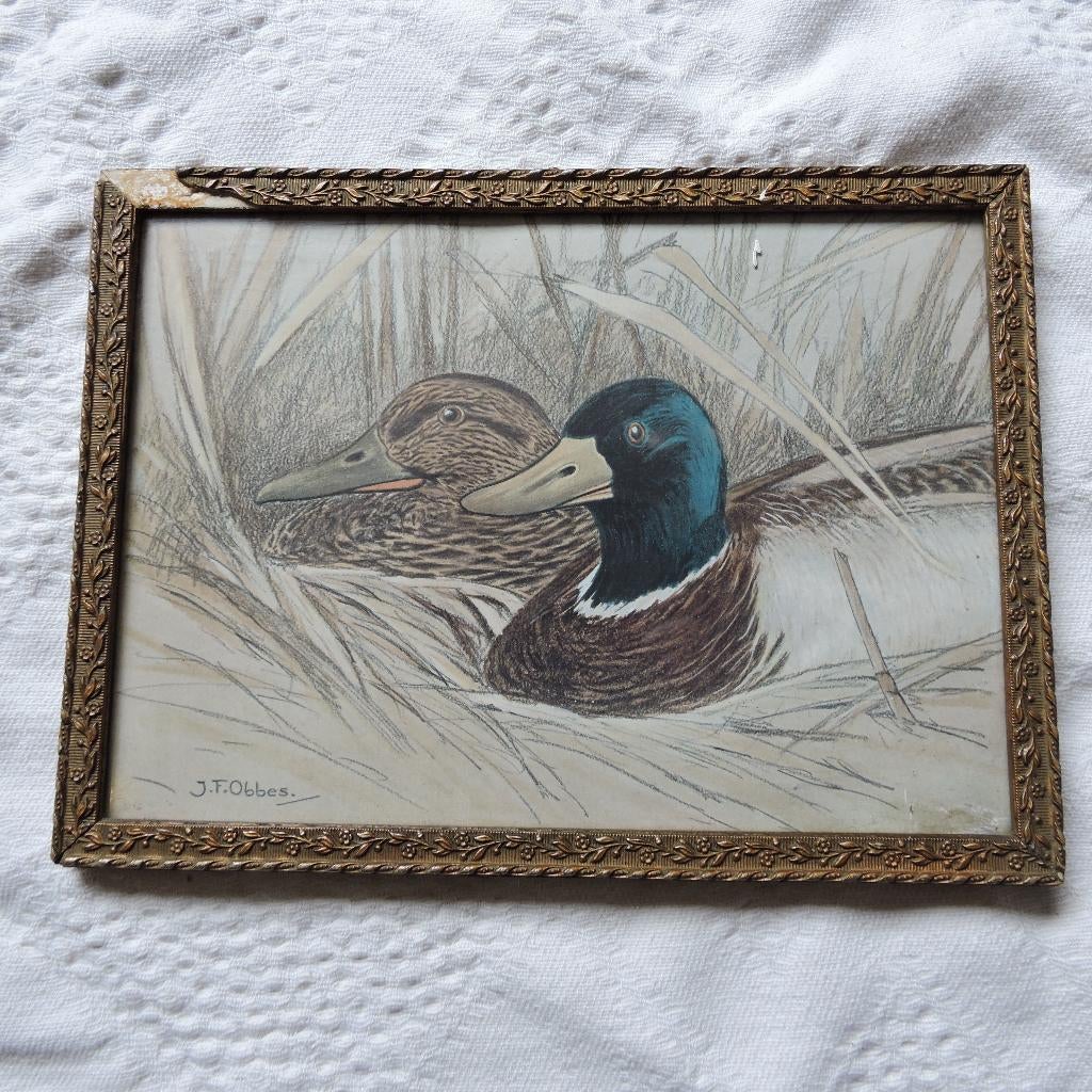 Tekening Eenden J. F. Obbes 1869-1963, Ophalen of Verzenden