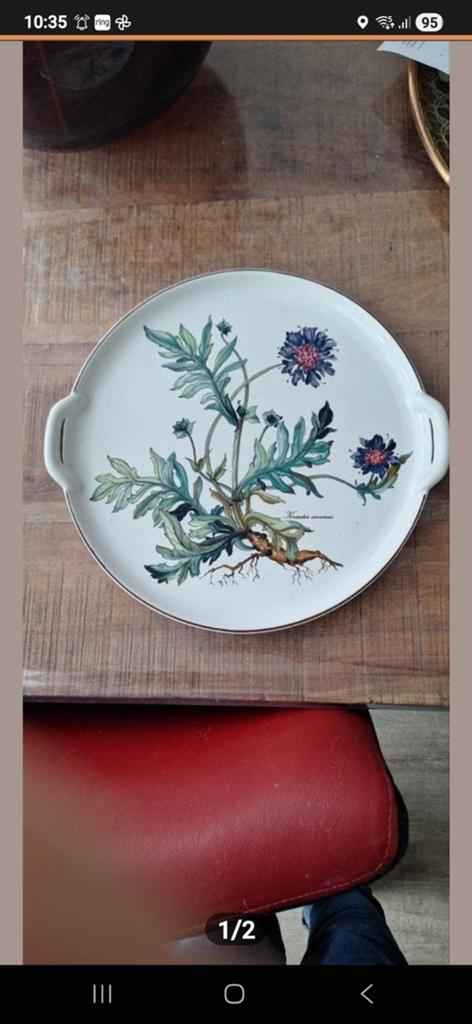 Mooie Botanica Gebakschaal, Ophalen, Zo goed als nieuw