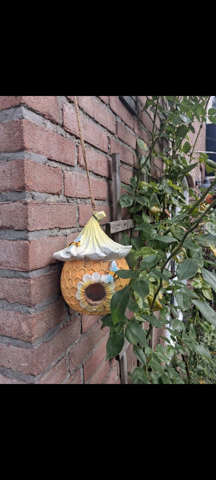 Decoratieve Bijenkorf Vogelhuisje, Ophalen of Verzenden, Nieuw