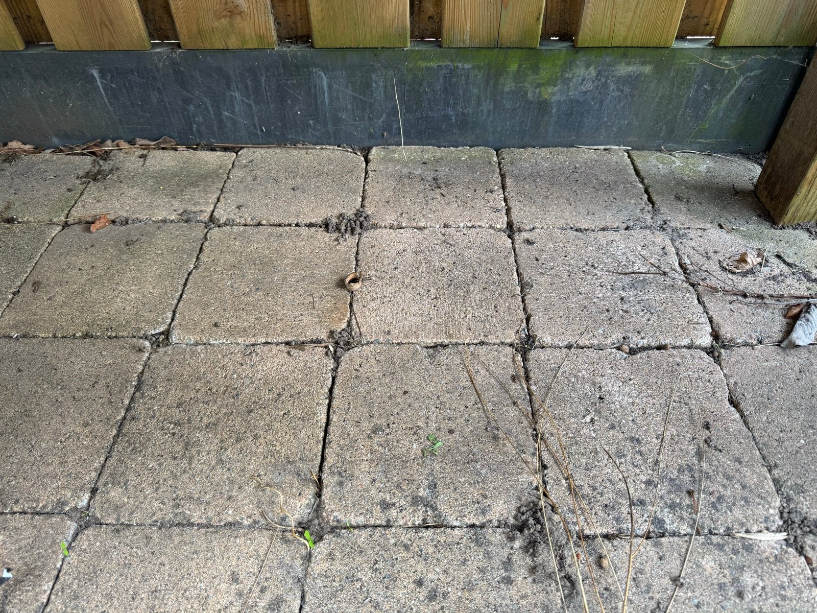 Gebruikte terrastegels, beton, 20x20 cm, ongeveer 50 a 55 m2, Tuin en Terras, Tegels en Klinkers, Ophalen, Gebruikt, 10 m² of meer