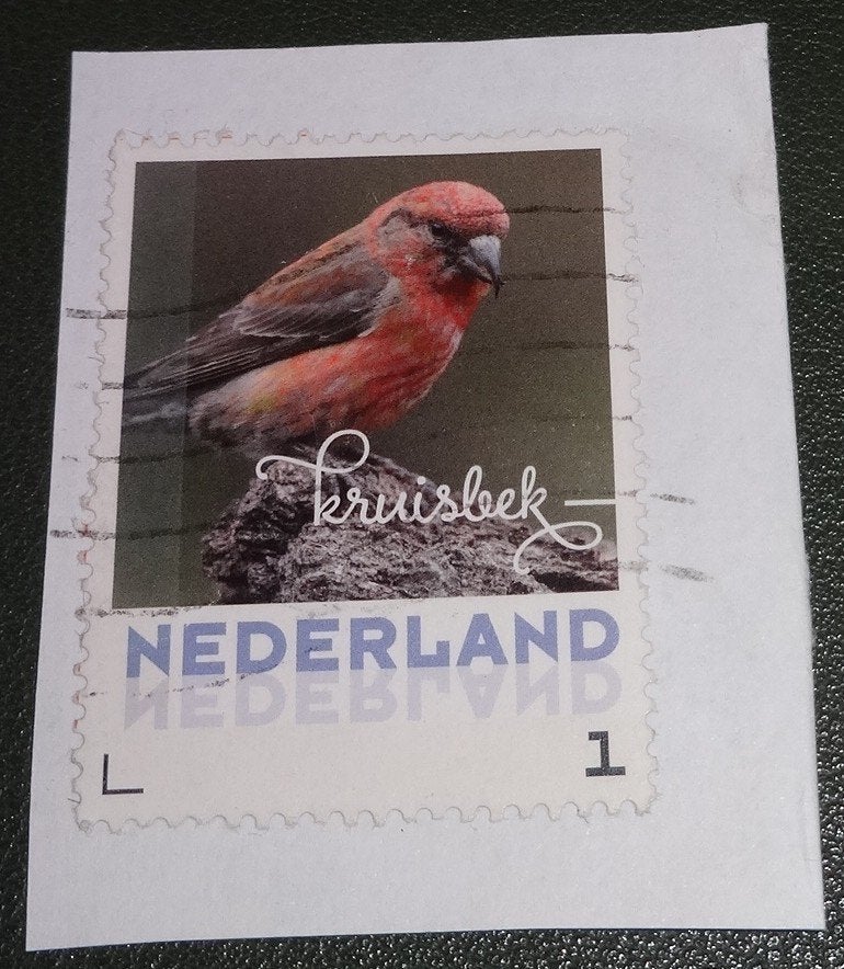 Herfstvogels - 2017 - Persoonlijk - Kruisbek - PNe01-13, Verzenden, Na 1940, Gestempeld