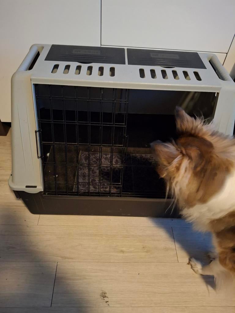 Honden bench voor in de auto., Dieren en Toebehoren, Ophalen, Zo goed als nieuw