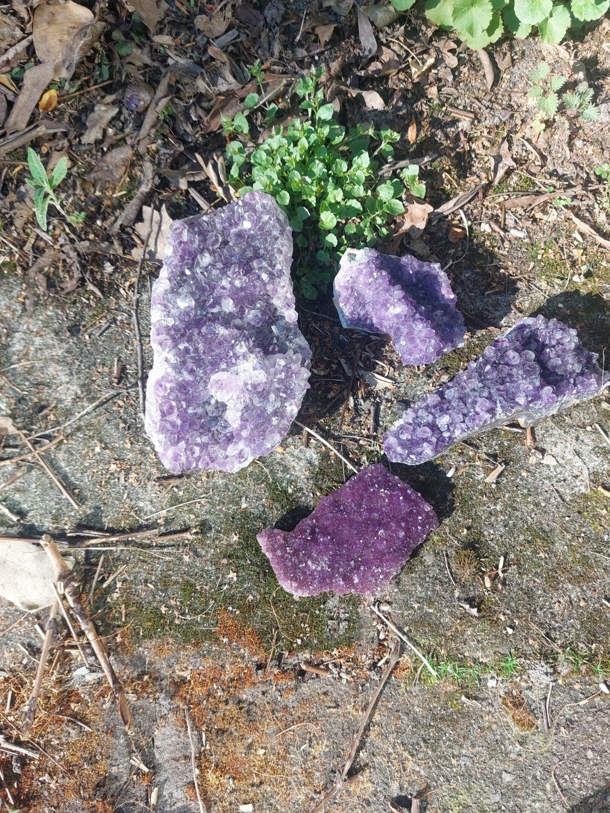 Mooie Amethist uit Uruguay - Diverse Maten en Vormen, Verzamelen, Mineralen en Fossielen, Ophalen of Verzenden