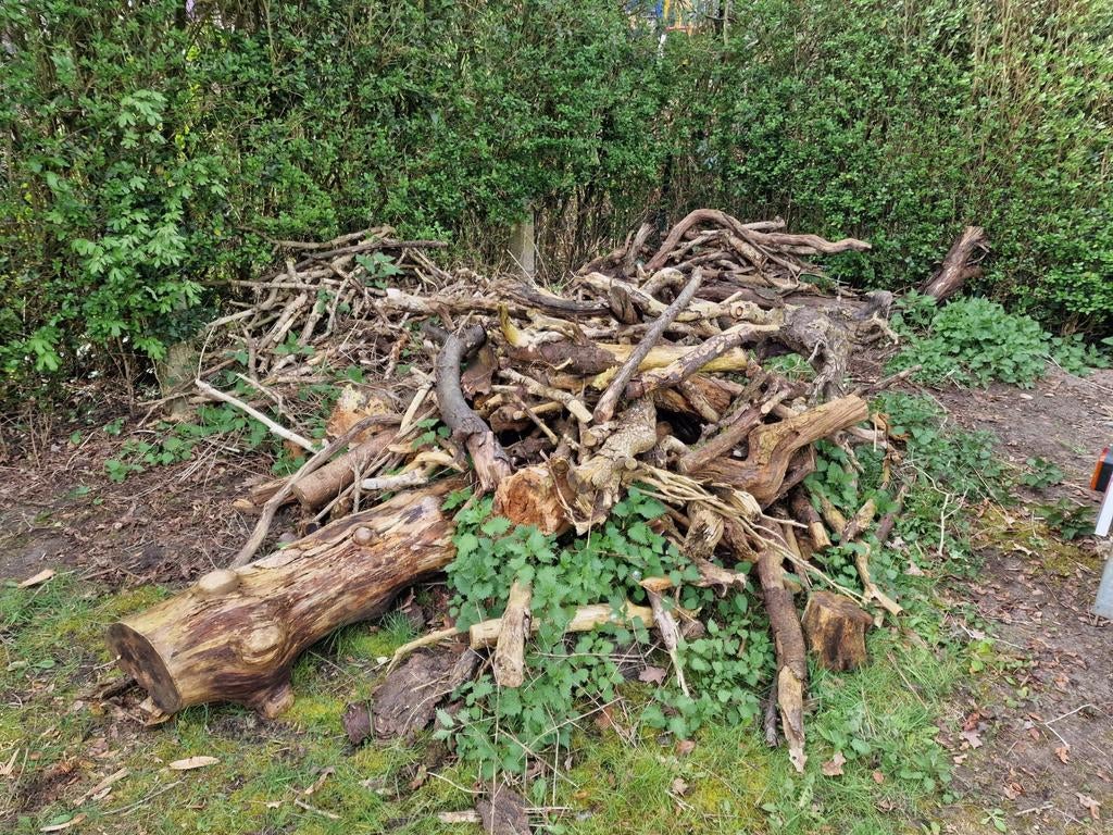 Droog brandhout, snoeihout, stammen takken, Tuin en Terras, Haardhout, Minder dan 3 m³, Ophalen, Overige houtsoorten, Stammen