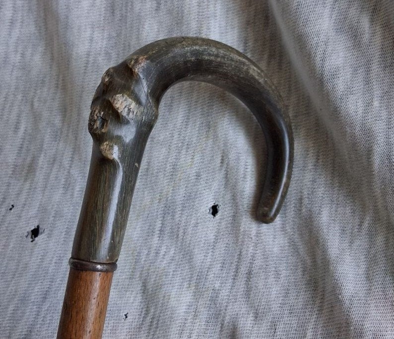 Antieke wandelstok met handvat van hoorn, Ophalen of Verzenden