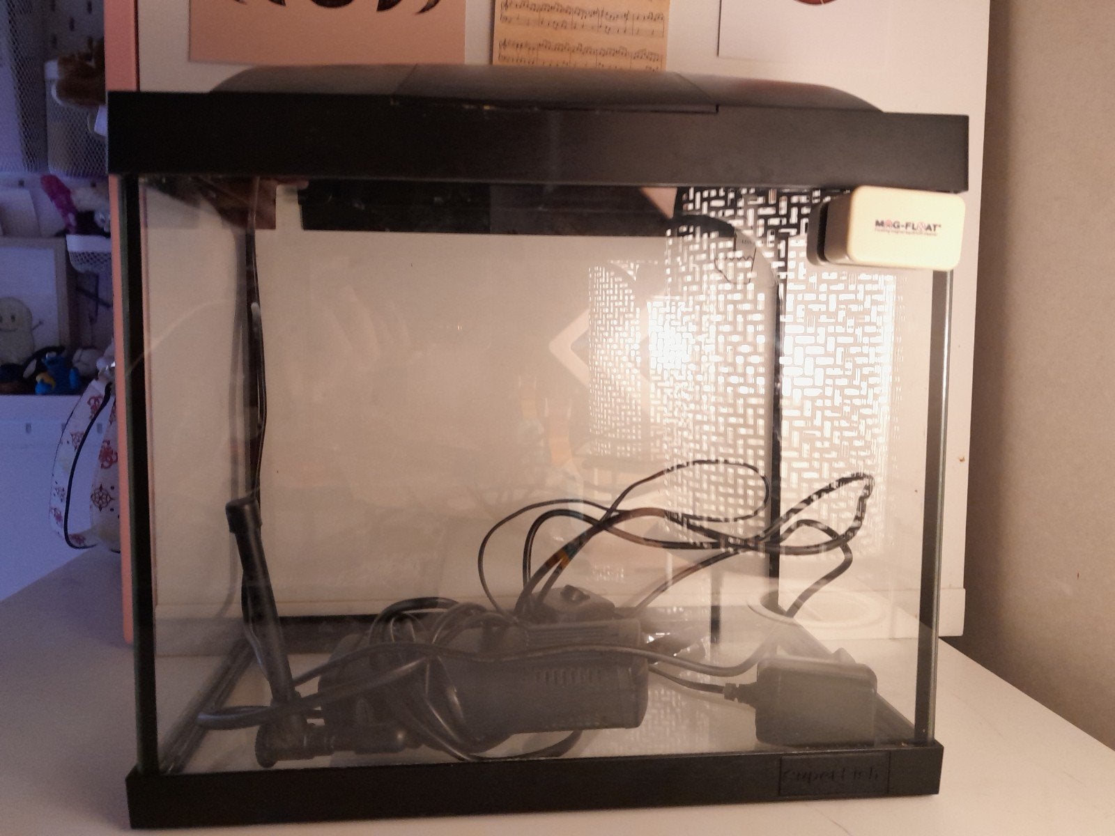 Aquarium met toebehoren, Ophalen, Gebruikt, Leeg aquarium