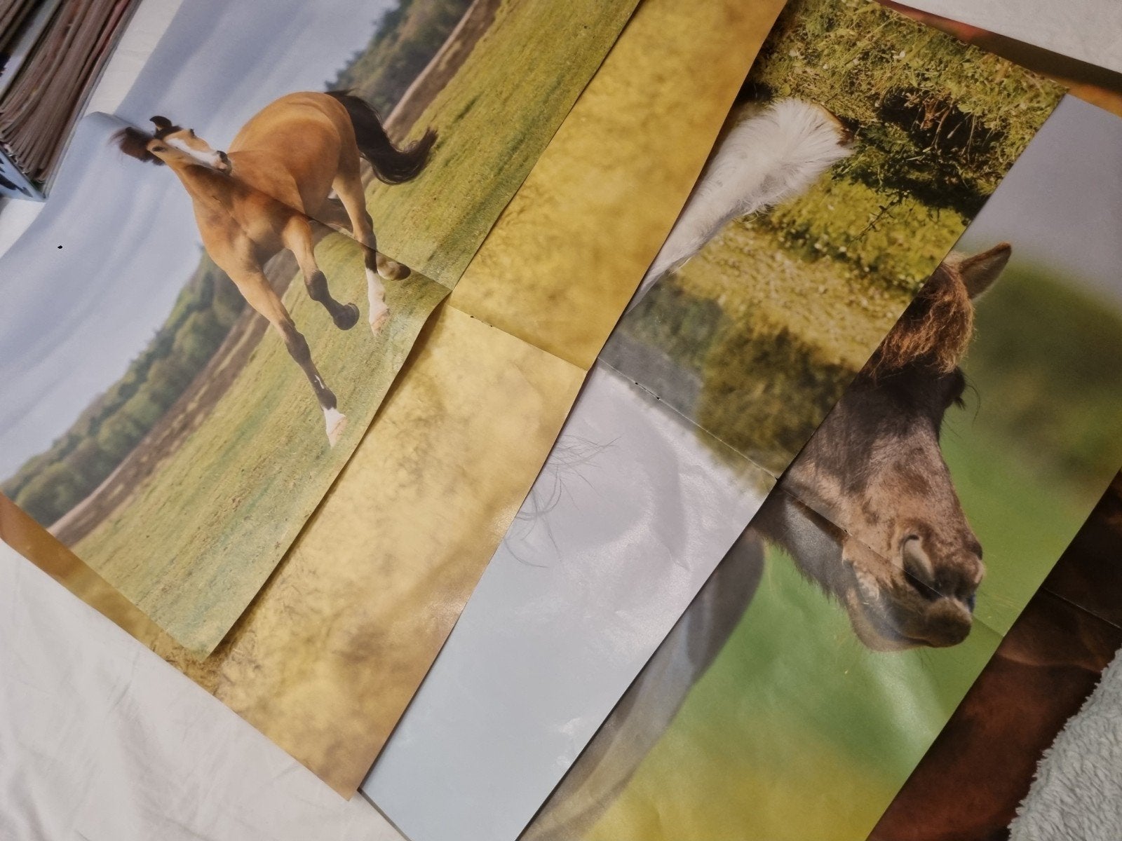 5 penny posters met gratis armbandje naar keuze!!!, Verzamelen, Gebruikt, Ophalen of Verzenden, Sport, A1 t/m A3