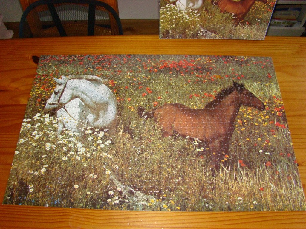 Legpuzzel paarden, Ophalen, 500 t/m 1500 stukjes, Gebruikt, Legpuzzel