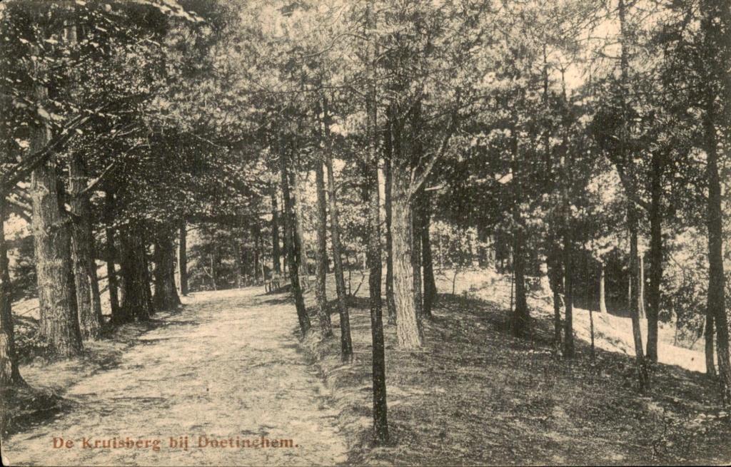 Doetinchem - De Kruisberg - Bosweg, Ophalen of Verzenden, Voor 1920, Gelopen, Gelderland