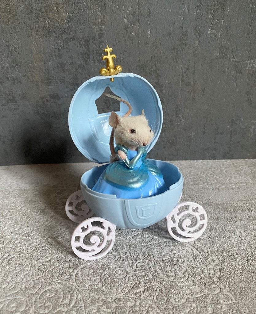 Opgezette muis Assepoester - taxidermie, Ophalen of Verzenden, Vogel, Opgezet dier