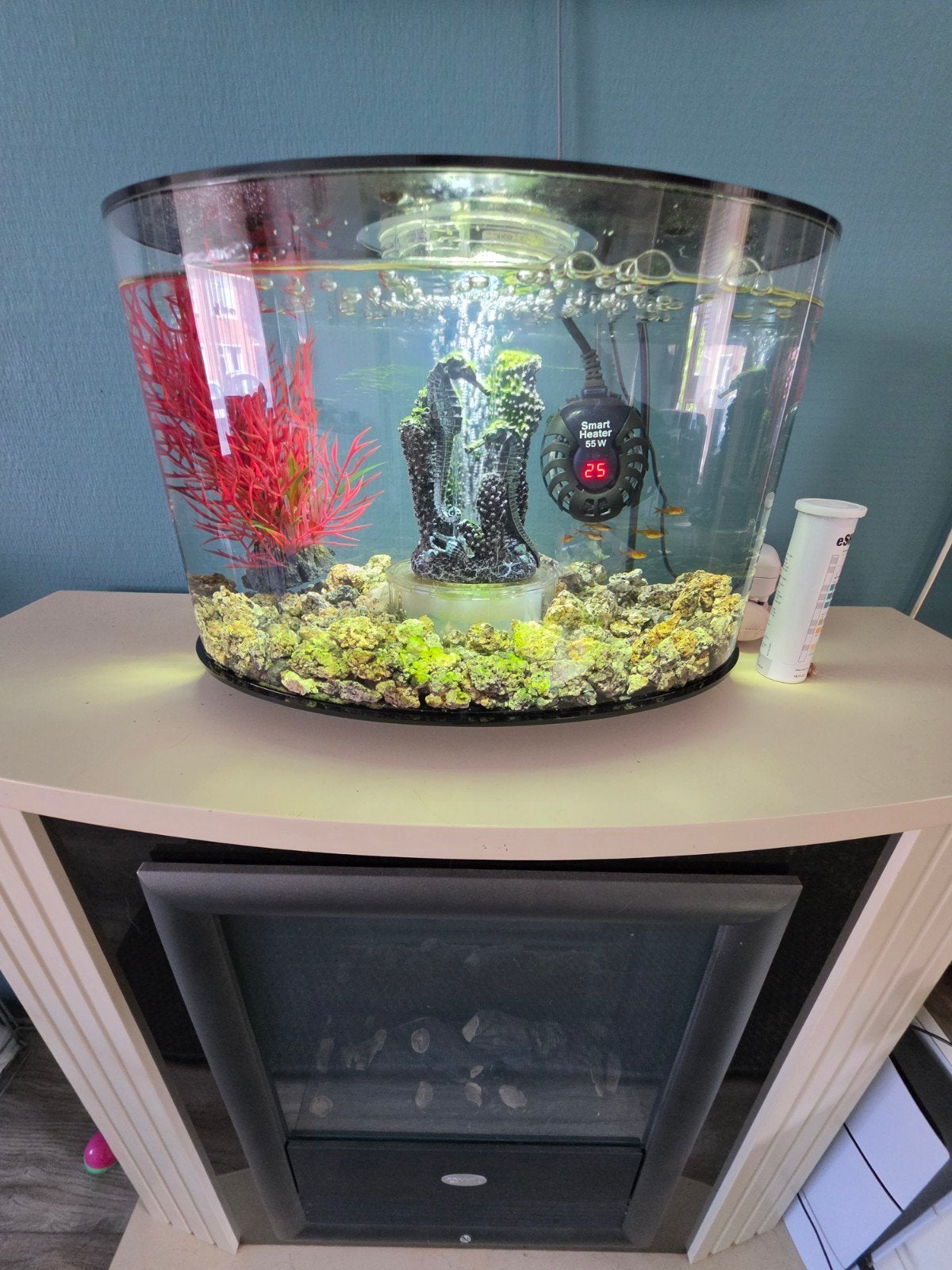 biorb, Dieren en Toebehoren, Vissen | Aquaria en Toebehoren, Ophalen, Zo goed als nieuw, Leeg aquarium