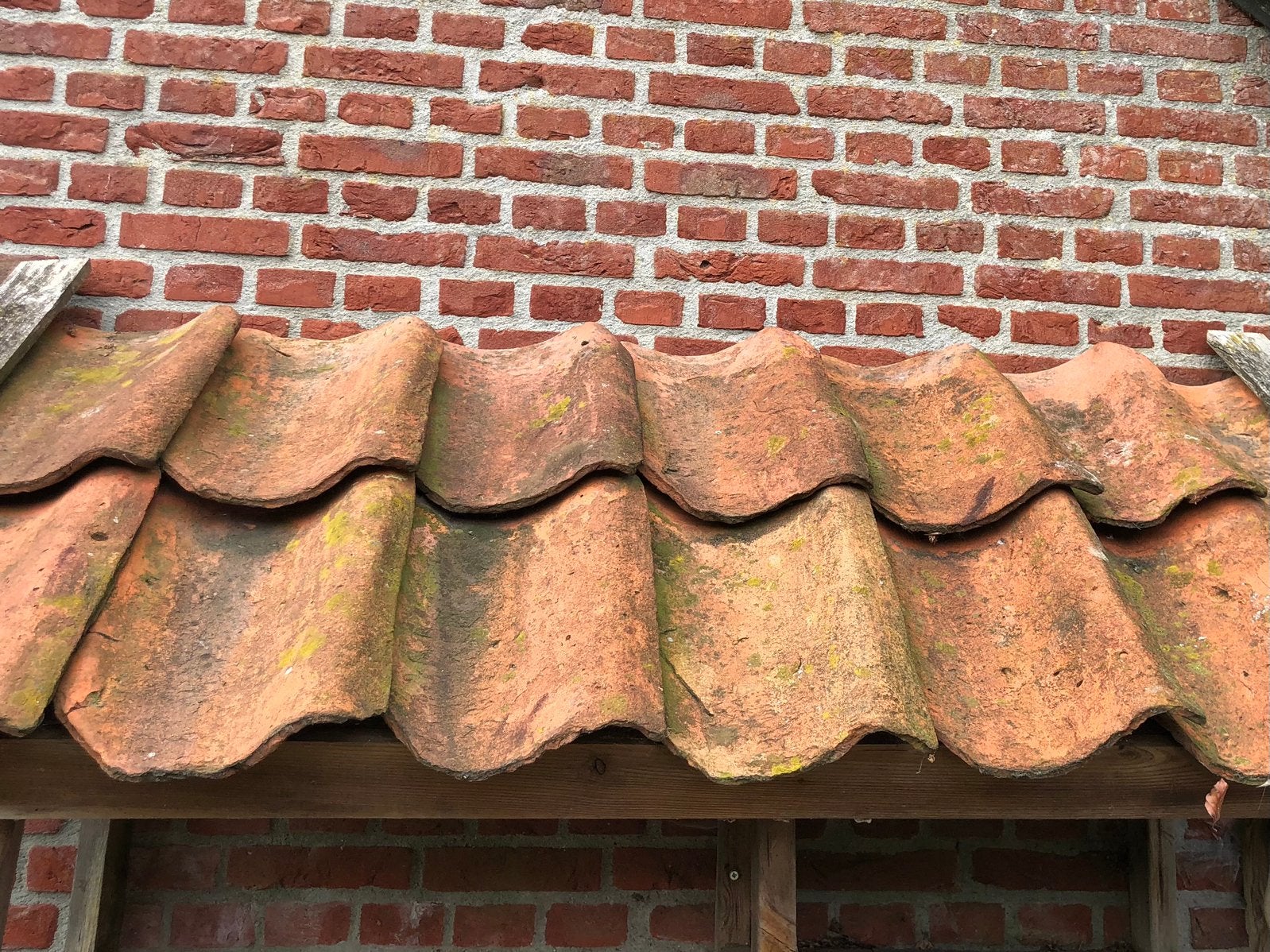 Oud Hollandse dakpannen, 14 stuks, Doe-het-zelf en Verbouw, Dakpannen en Dakbedekking, Ophalen, Gebruikt, Steen of Klei, Minder dan 5 m²