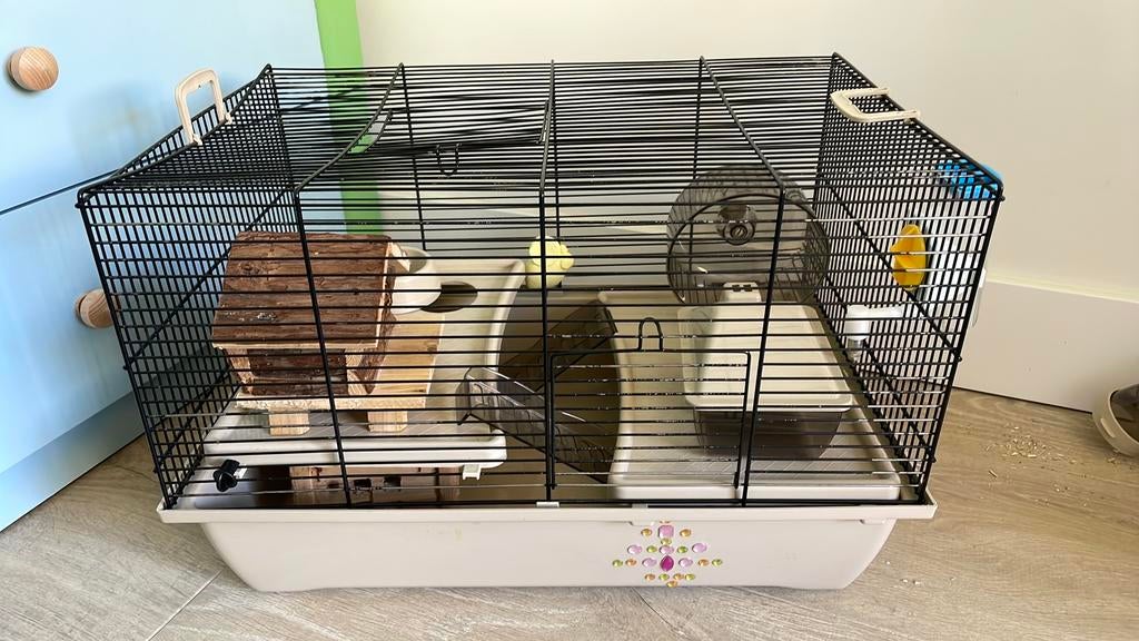 Compleet hamsterhok hamsterkooi, Minder dan 60 cm, Kooi, Gebruikt, Minder dan 75 cm