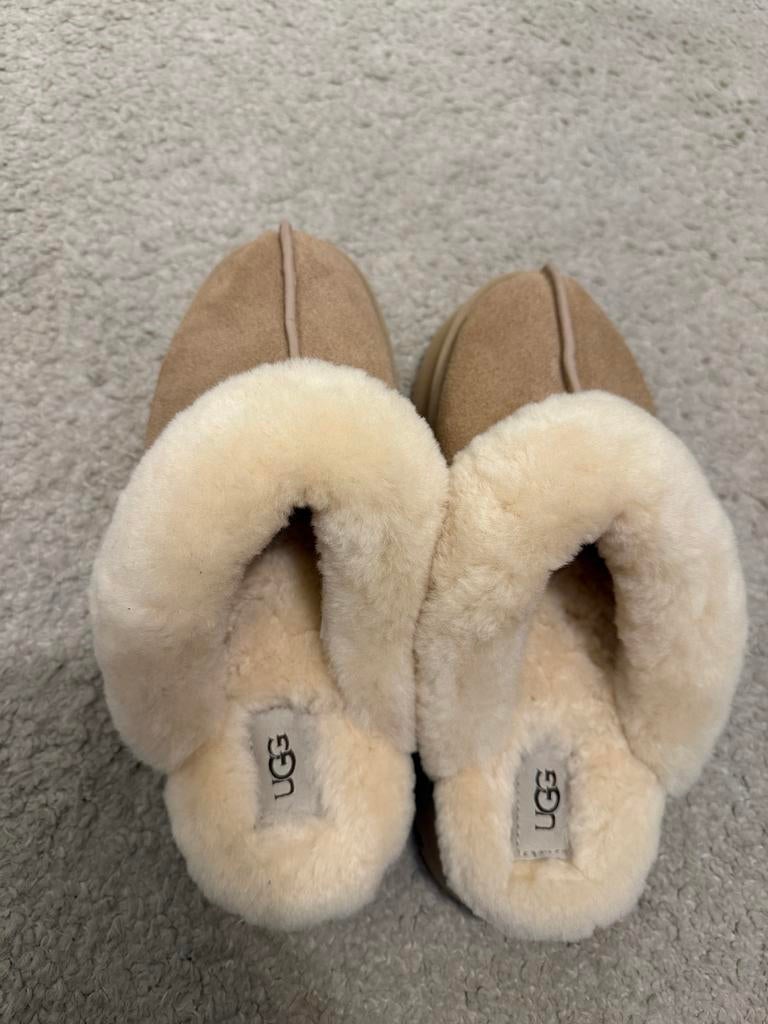 Uggs Disquette pantoffels 40 Sand, Verzenden, Beige, Nieuw, Pantoffels of Sloffen