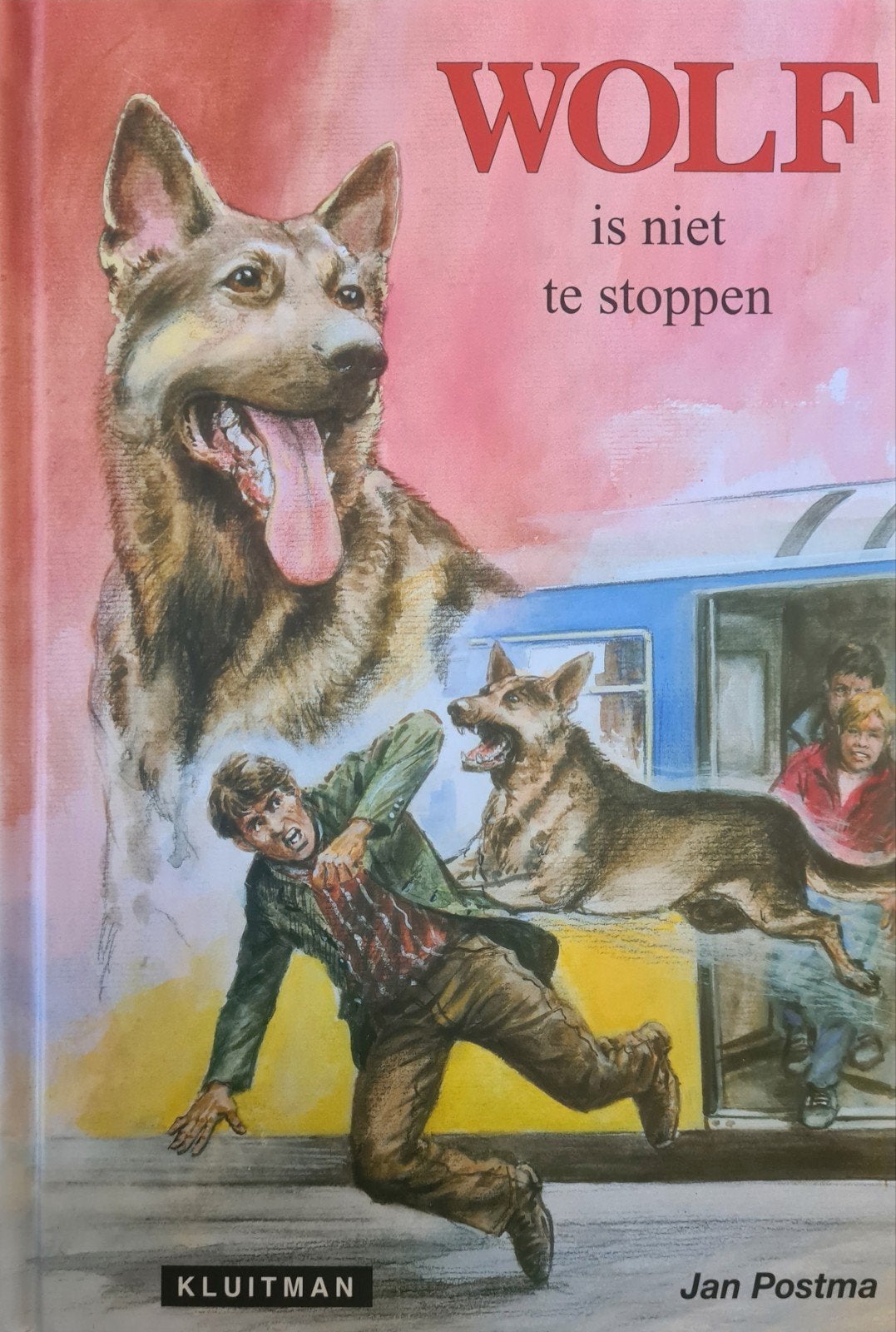 Wolf boekenreeks van Jan Postma - 4 delen, Boeken, Ophalen of Verzenden, Gelezen, Jan Postma, Fictie