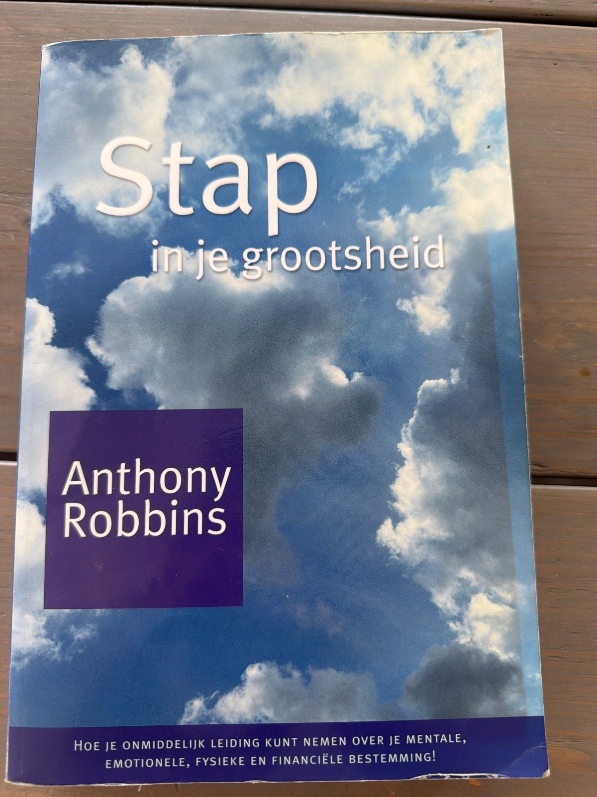 Stap in je grootsheid - Anthony Robbins, Boeken, Verzenden, Gelezen