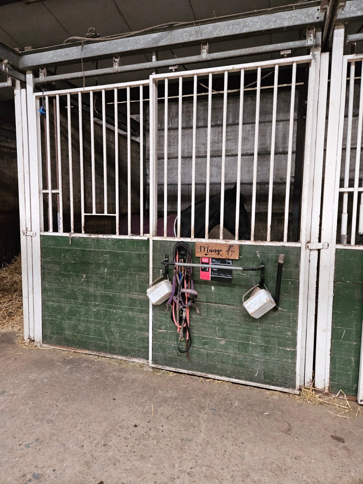 9 Gebruikte stalwanden 3m / paardenboxen/paardenstallen enz, Dieren en Toebehoren