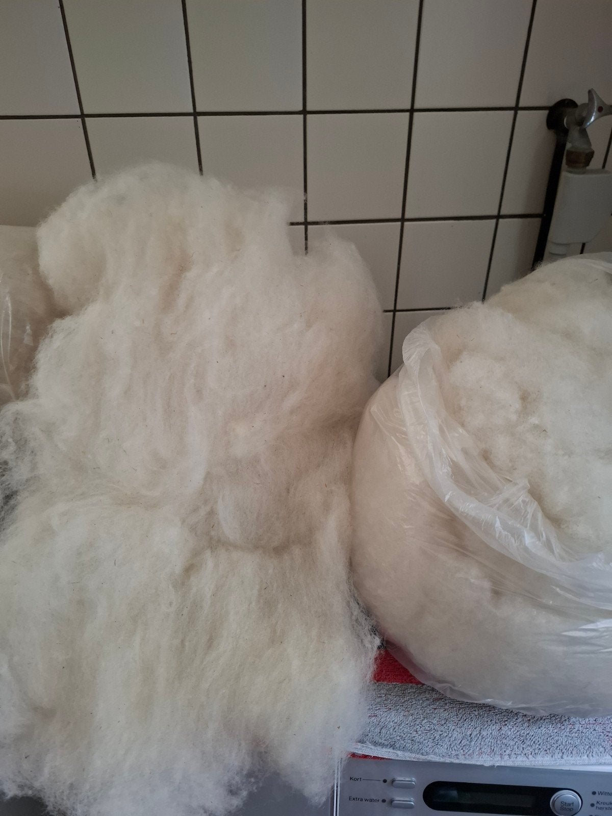 Kaardvlies Bleu du Maine schaap,  wit, Ophalen of Verzenden, Nieuw, Spinwol