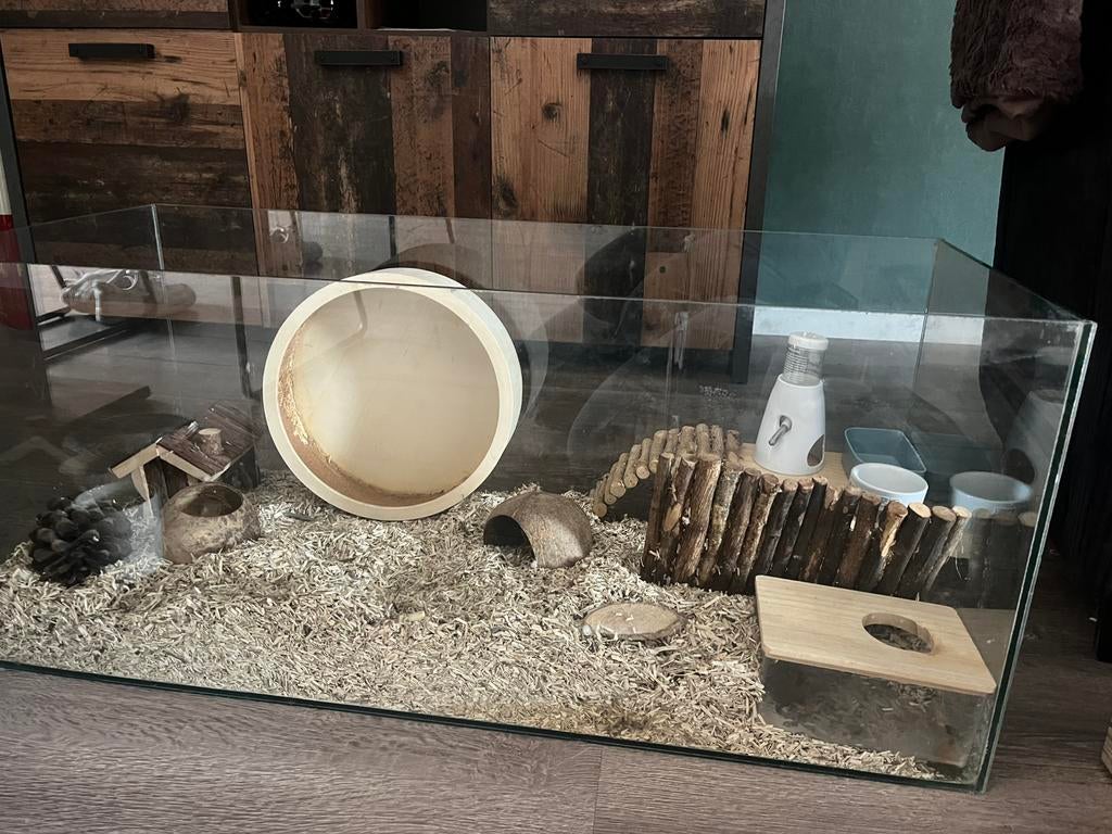 Hamsterhok + toebehoren (Prijs is niet vast), Dieren en Toebehoren, Knaagdieren en Konijnen | Hokken en Kooien, Gebruikt, Overige typen
